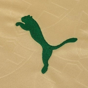 Camisa do Palmeiras III 24 Puma Masculina Torcedor